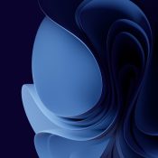tiago-alexandre-lopes-W4CTDtL2LQo-unsplash